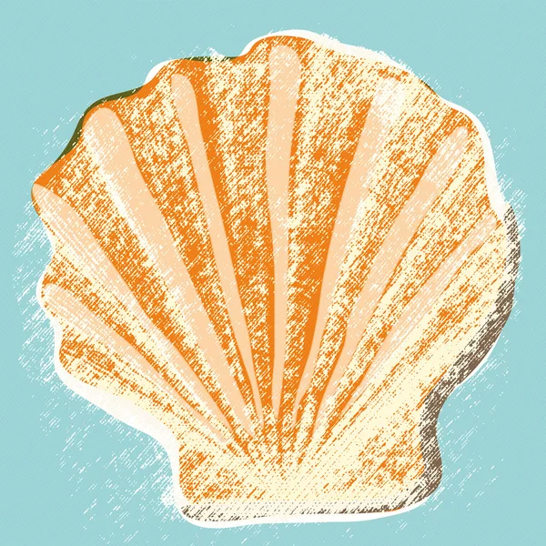 Fond coquille — Image vectorielle