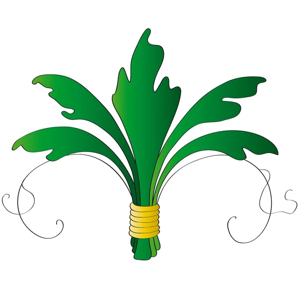 Décoration végétale — Image vectorielle
