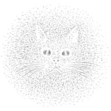 Cat drawing clipart