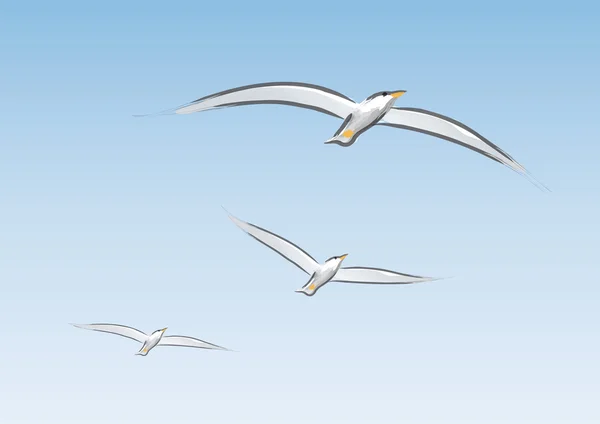 在飞行中的海鸥 — 图库矢量图片