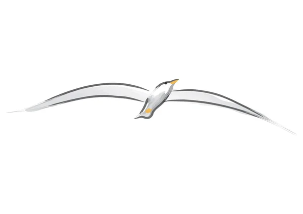 在飞行中的海鸥 — 图库矢量图片