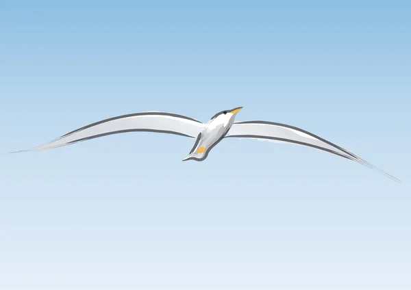 Чайки в польоті — стоковий вектор