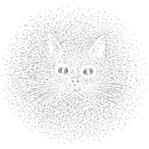 การวาดภาพแมว — ภาพเวกเตอร์สต็อก