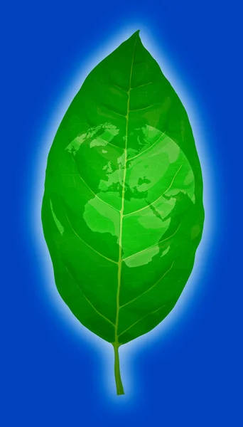 Leaf and the world — Stock Photo, Image
