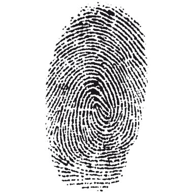 Fingerprint clipart