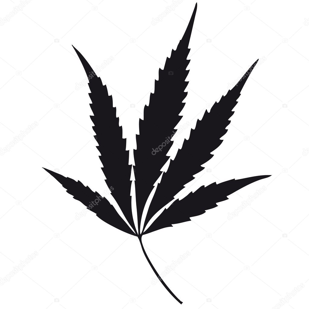 Leaf marijuana