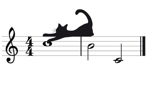 Cats and music