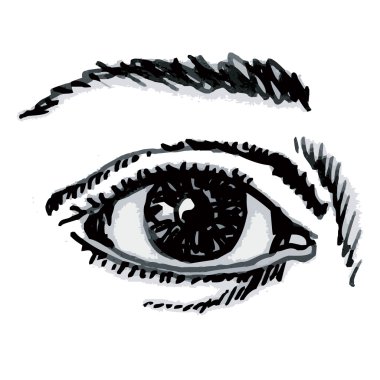 Human eye clipart