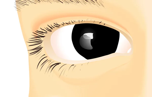 Людське око — стоковий вектор
