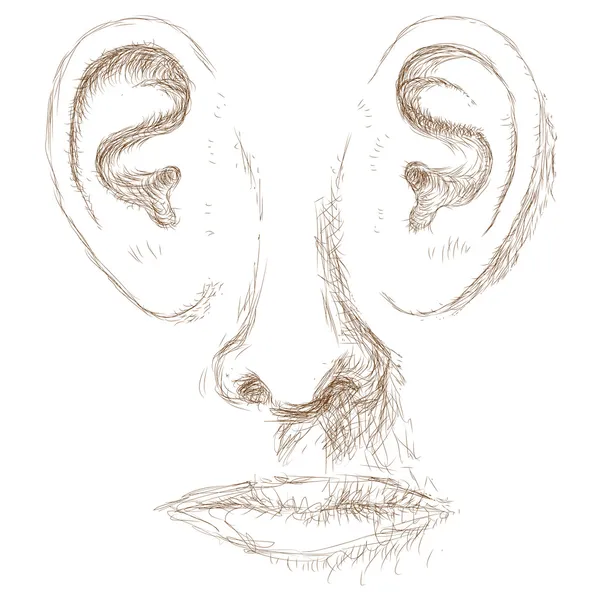 Öronen på ditt ansikte — Stock vektor