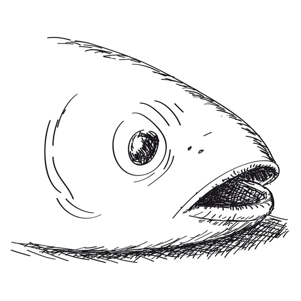 Fish head — Stock Vector