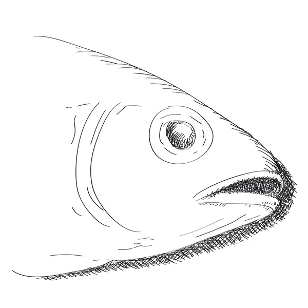 魚の頭 — ストックベクタ
