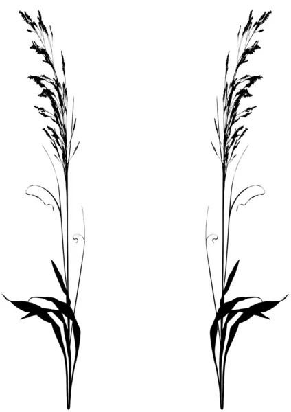 Plantes — Image vectorielle