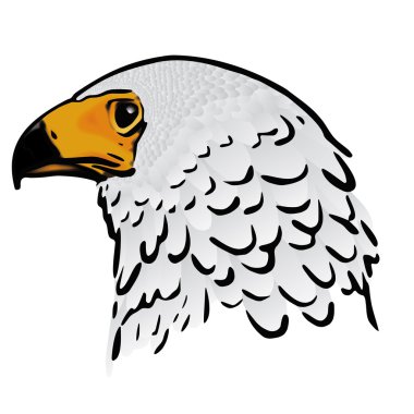 Eagle head clipart