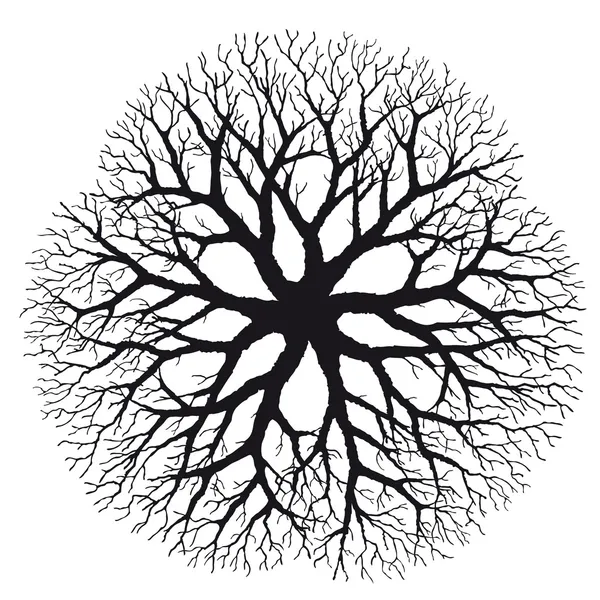 Branching — Stock Vector