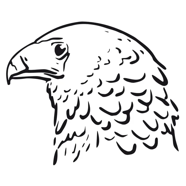 Голова орла — стоковий вектор