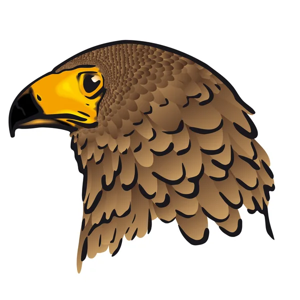 Eagle head — Stock Vector
