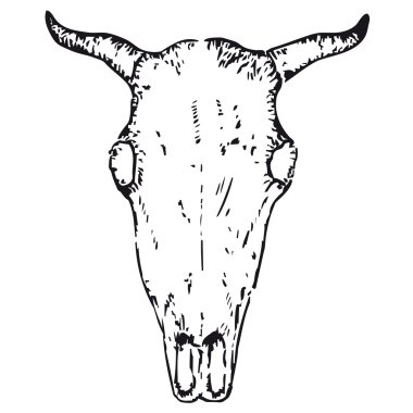 Ox skull clipart