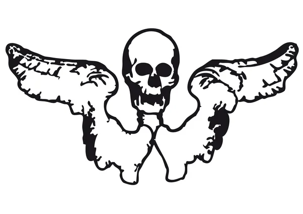 Winged skull — Stock Vector