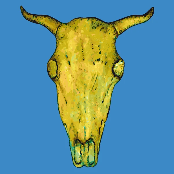Cráneo de buey — Vector de stock