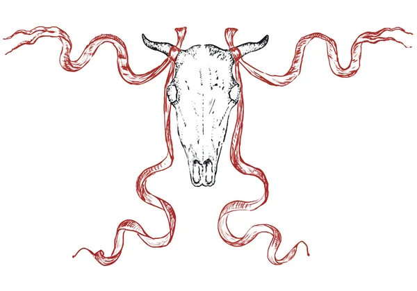 Ox schedel — Stockvector
