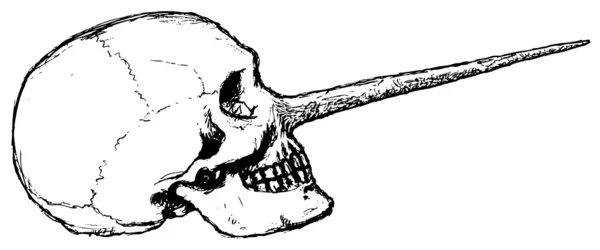 Pinocchio Skull — Stock Vector