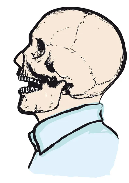 Cráneo riendo — Vector de stock