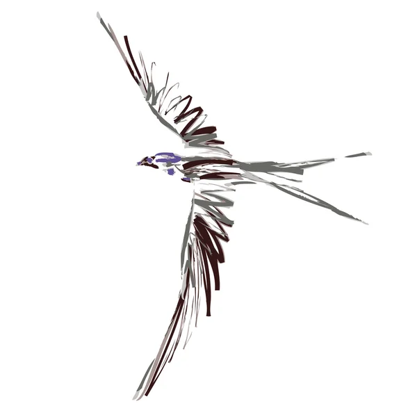 Птица в полете — стоковый вектор