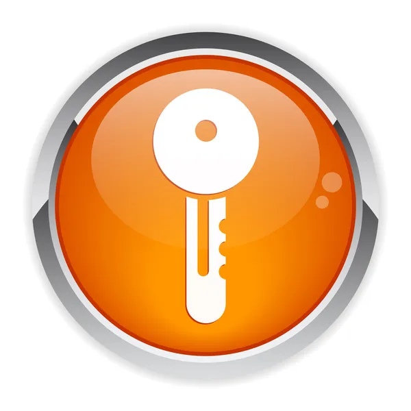 Botón icono de la llave de Internet . — Vector de stock