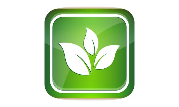 Botón de hoja verde — Vector de stock