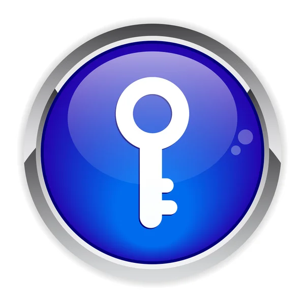 Botón signo de clave web — Vector de stock