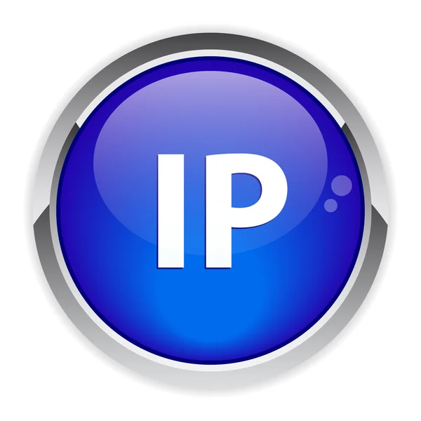 Fixed IP address button — Stock Vector