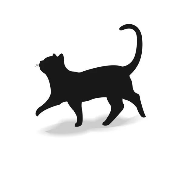 Forma contorno gato — Vector de stock
