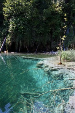 Plitvice Gölleri, Hırvatistan