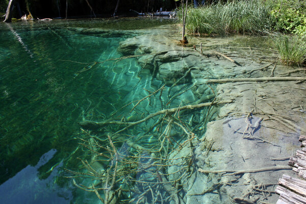 Emerald Plitvice lakes in Croatia