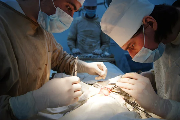 A operação por médicos usando máscaras — Fotografia de Stock