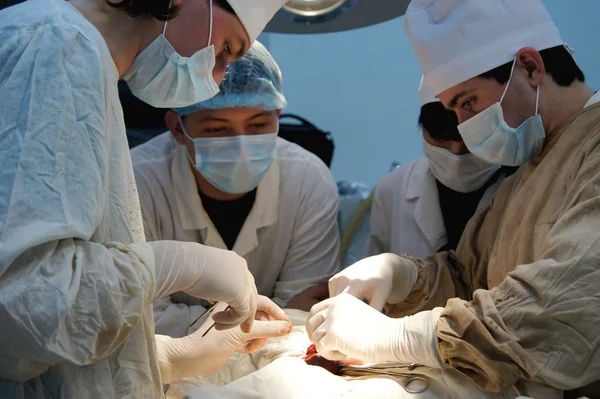 Ameliyat masasına gelen sağlık ekibi — Stok fotoğraf