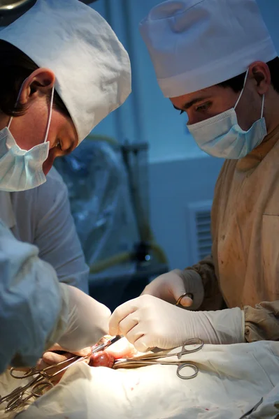 Chirurgové v operačním sále v práci — Stock fotografie
