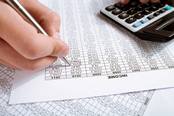 Counting income in 2010 — Stock Photo, Image