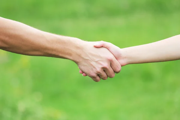 stock image Hand of a parent and child