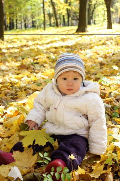 Őszi park, egy gyönyörű kislány — Stock Fotó