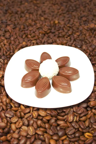 Chocolats et fèves de cacao — Photo