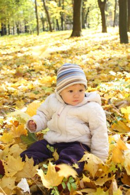 güzel, küçük bir kız sonbahar Park