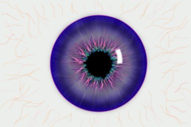 Illustration of the pupil of the eye clipart