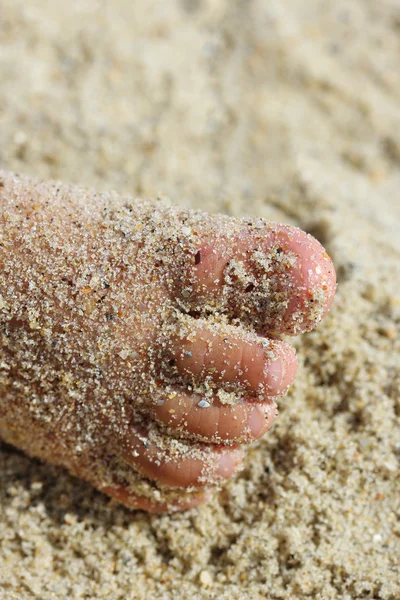Female feet in the sand — Stock Photo, Image