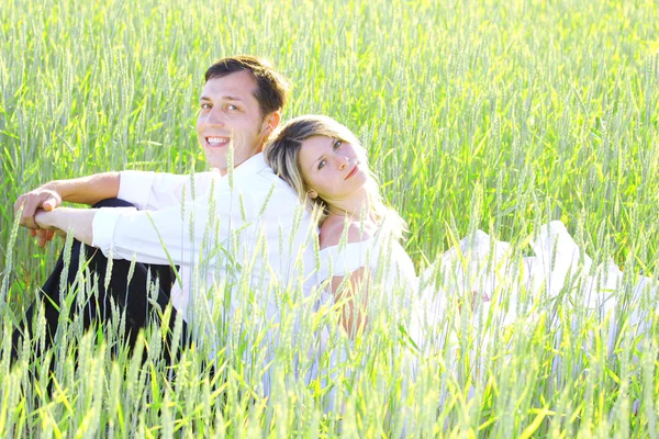 Newlyweds in a field of wheat — Stock Photo, Image