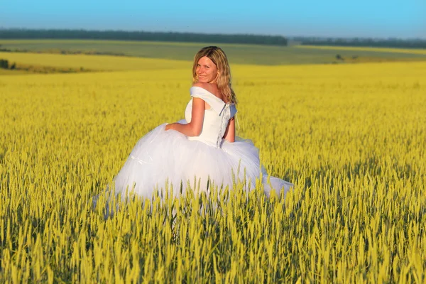 Bride on a field of wheat — Stock Photo, Image
