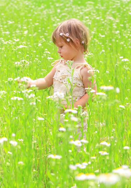 A beautiful little girl — Stock Photo, Image