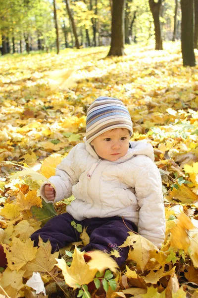 Une belle petite fille dans le parc d'automne — Photo