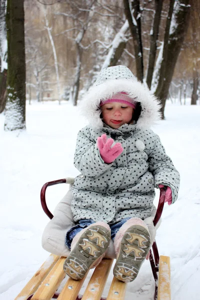Child in a sled — Stock Photo, Image